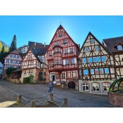 Weine für jeden Tag  (50)