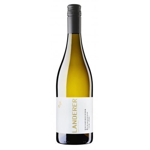 Landerer 2025 Weißburgunder & Chardonnay trocken - vom Löss - GUTSWEIN